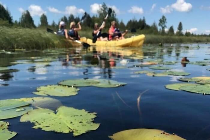 Door County Wetlands Kayak Tour green bay wisconsin