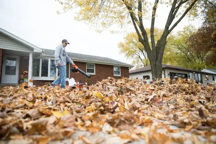 Resident Blowing leaves