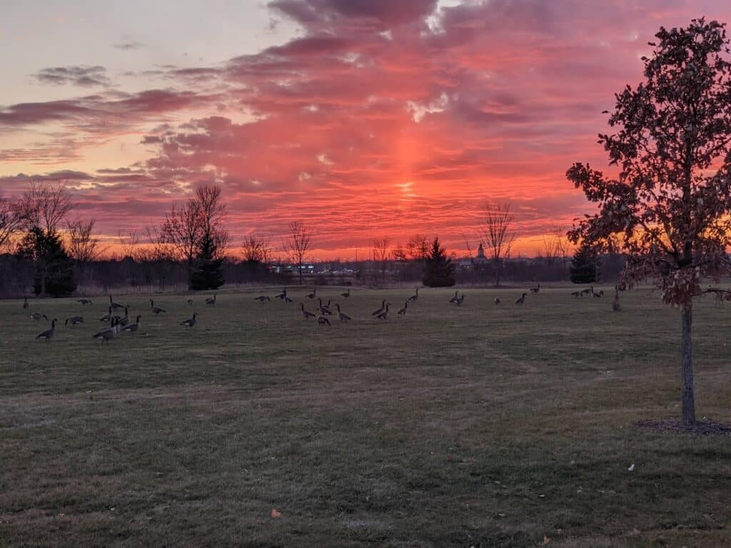 Willow Creek Park