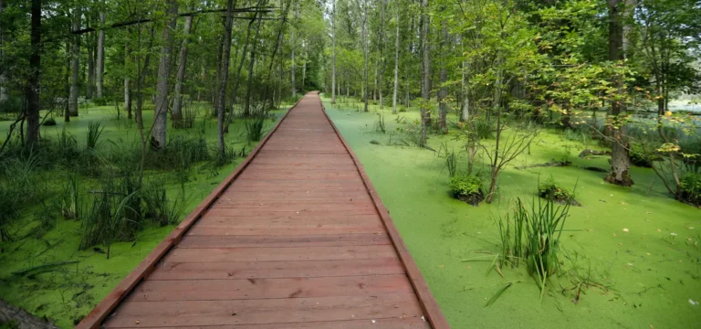 Sensiba State Wildlife Area in Suamico, WI